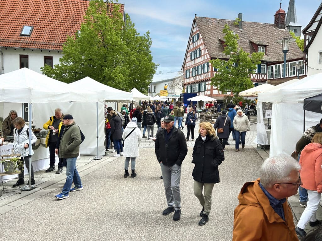 KHW Ditzingen 2024