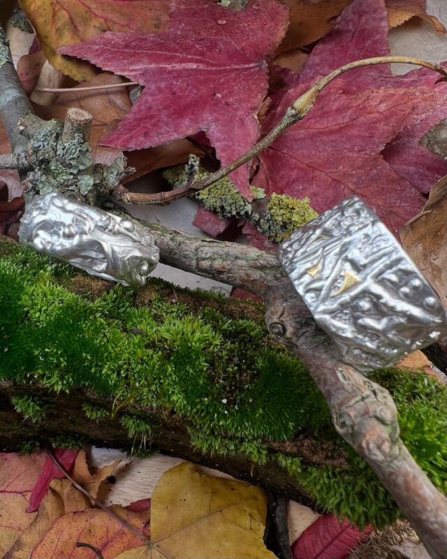 Strukturverliebt - an irgendetwas erinnern uns Strukturen immer- Blätter, Rinde, Strukturen die Wind und Regen für einen kurzen Zeitraum auf Sand und Wasser hinterlassen - Faszination pur #spuren#strukturen#leben#weidenthalet#struktureninsilber#ringverrückt #silber#weidenthaler #weidenthalerjewelry #weidenthalermusiolik #künstlerschmuck#wachs#structure#silver#silverring#live#weidenthalerart#fascination#designerschmuck